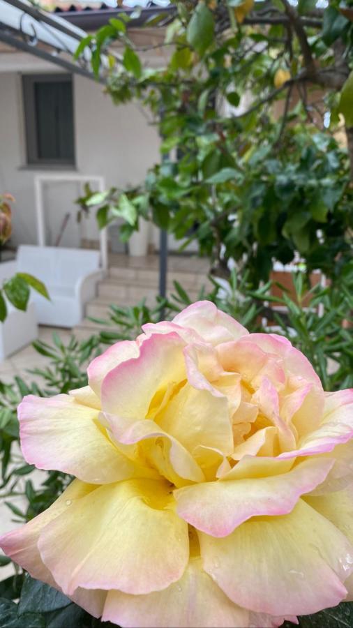 Maestrale Apartment Tertenia Bagian luar foto